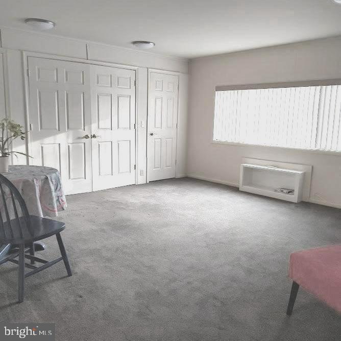 3613 Edelmar Terrace, Unit 131B Silver Spring, MD 20906 - Photo 13 of 24 Family Room with storage closets