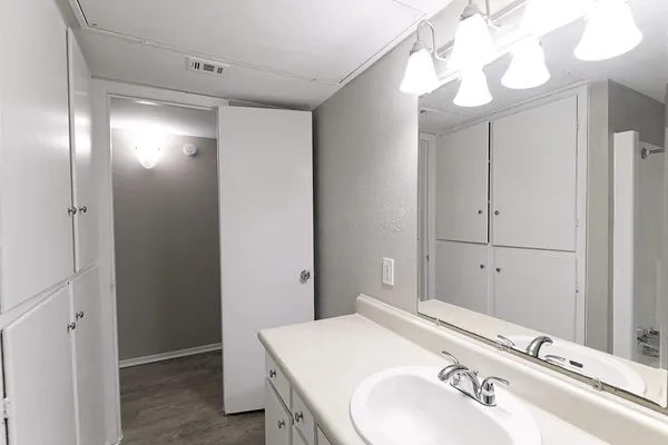 a bathroom with a sink and a mirror