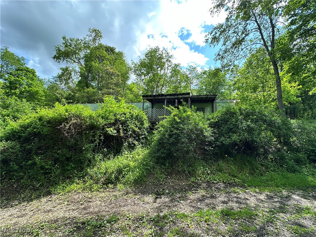14568 Mt Perry Road Mount Perry, OH 43760 - Photo 1 of 19 View of yard