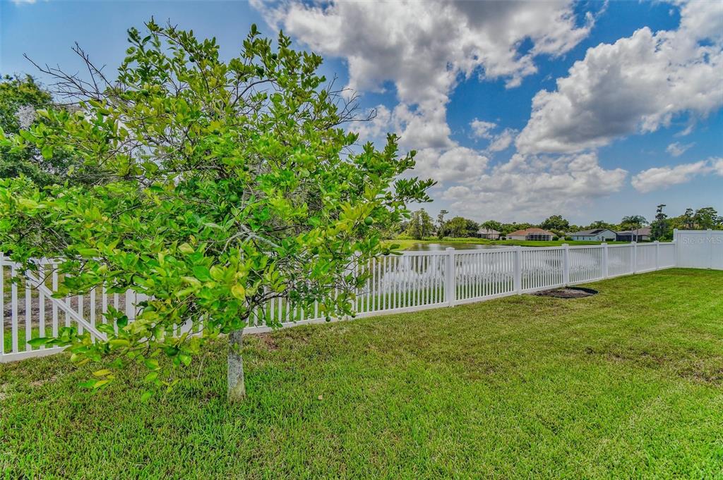 8706 Linebrook Drive Trinity, FL 34655 - Photo 37 of 41