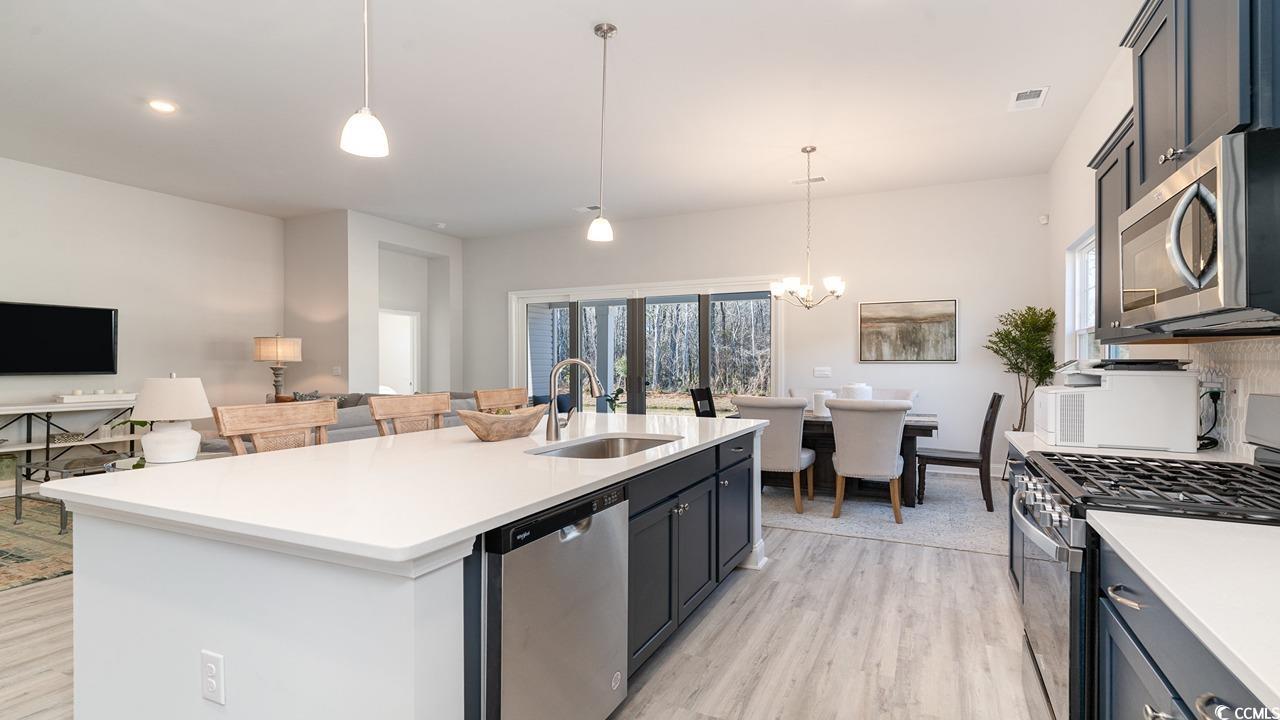 125 Fair Meadow Loris, SC 29569 - Photo 17 of 26 Kitchen featuring a center island with sink, light hardwood / wood-style floors, hanging light fixtures, appliances with stainless steel finishes, and sink