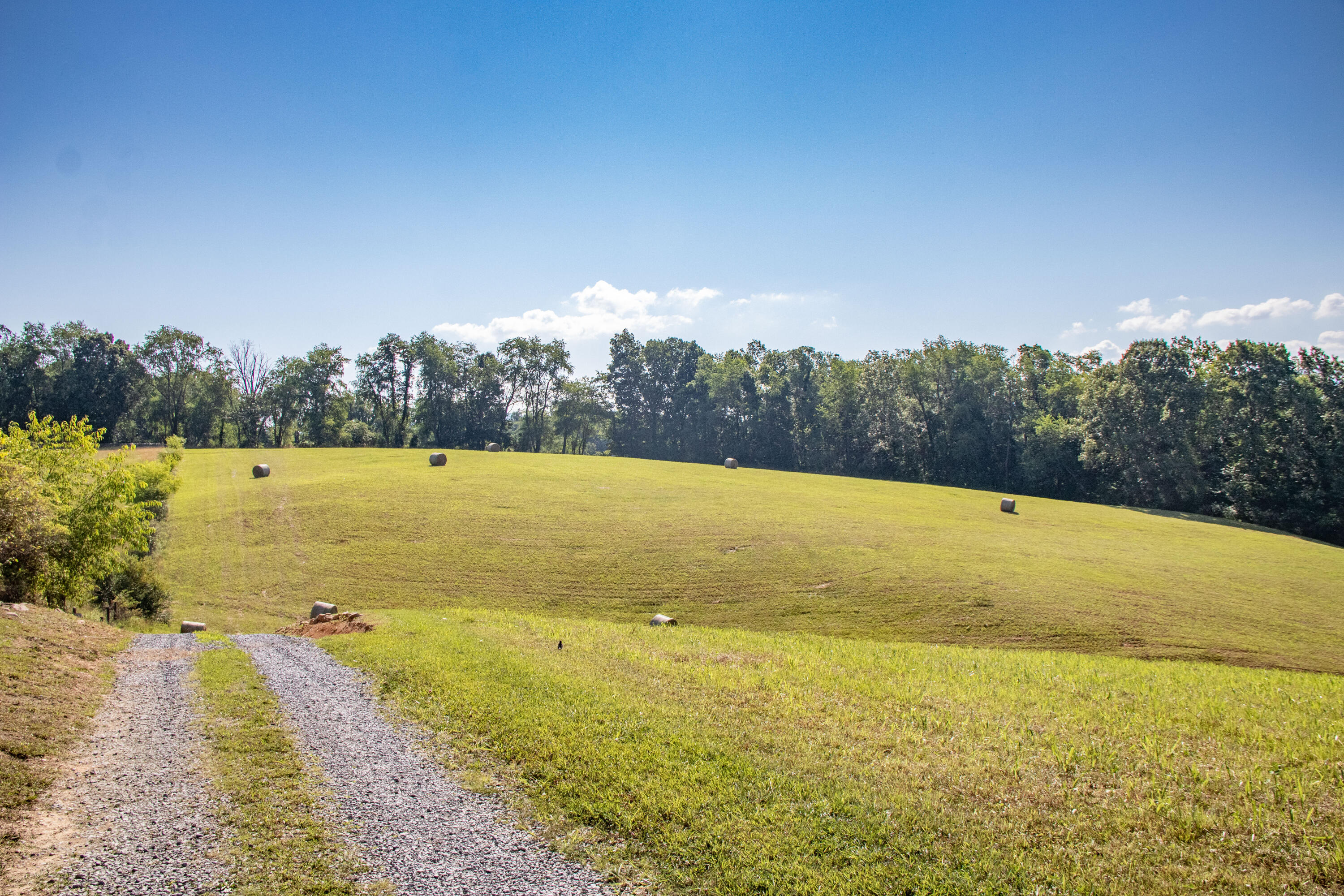427 Riverside Road Chilhowie, VA 24319 - Photo 41 of 58 427 Riverside Road