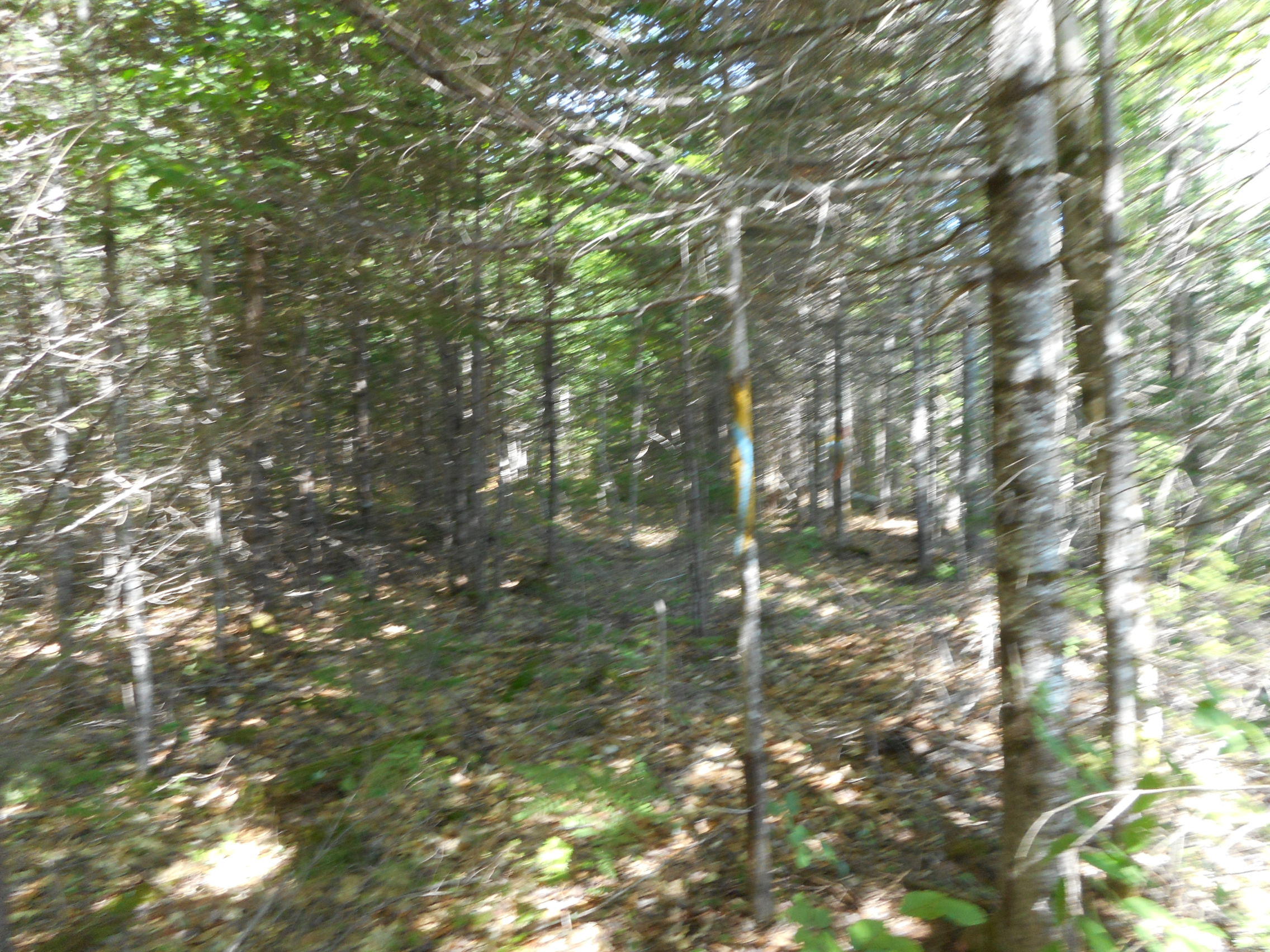 116 Rte Mattamiscontis Twp Me 04457 Route Lincoln, ME 04457 - Photo 8 of 11 DSCN2522