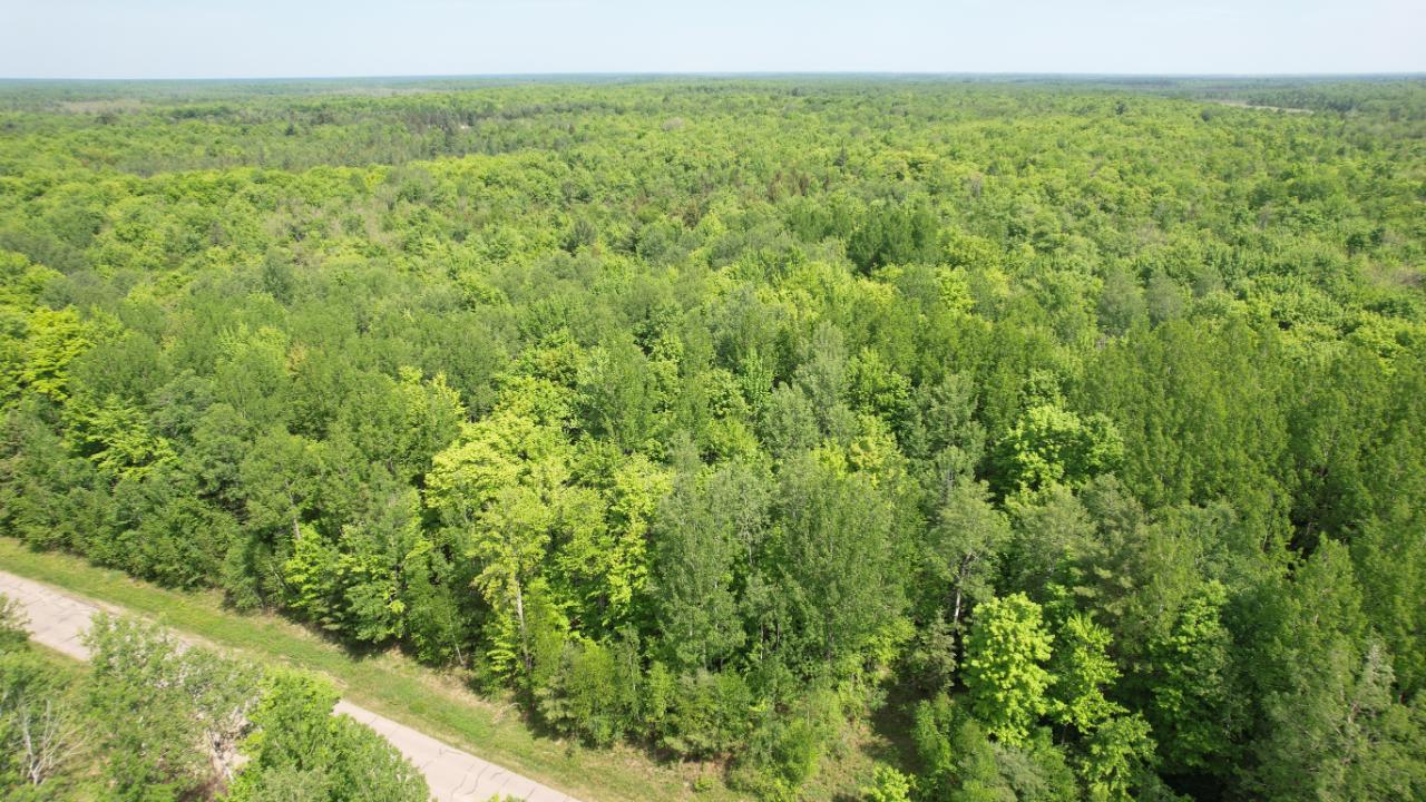 Lot 11 Eagle Waters Road Rhinelander, WI 54501 - Photo 5 of 30 Gallery Image 5
