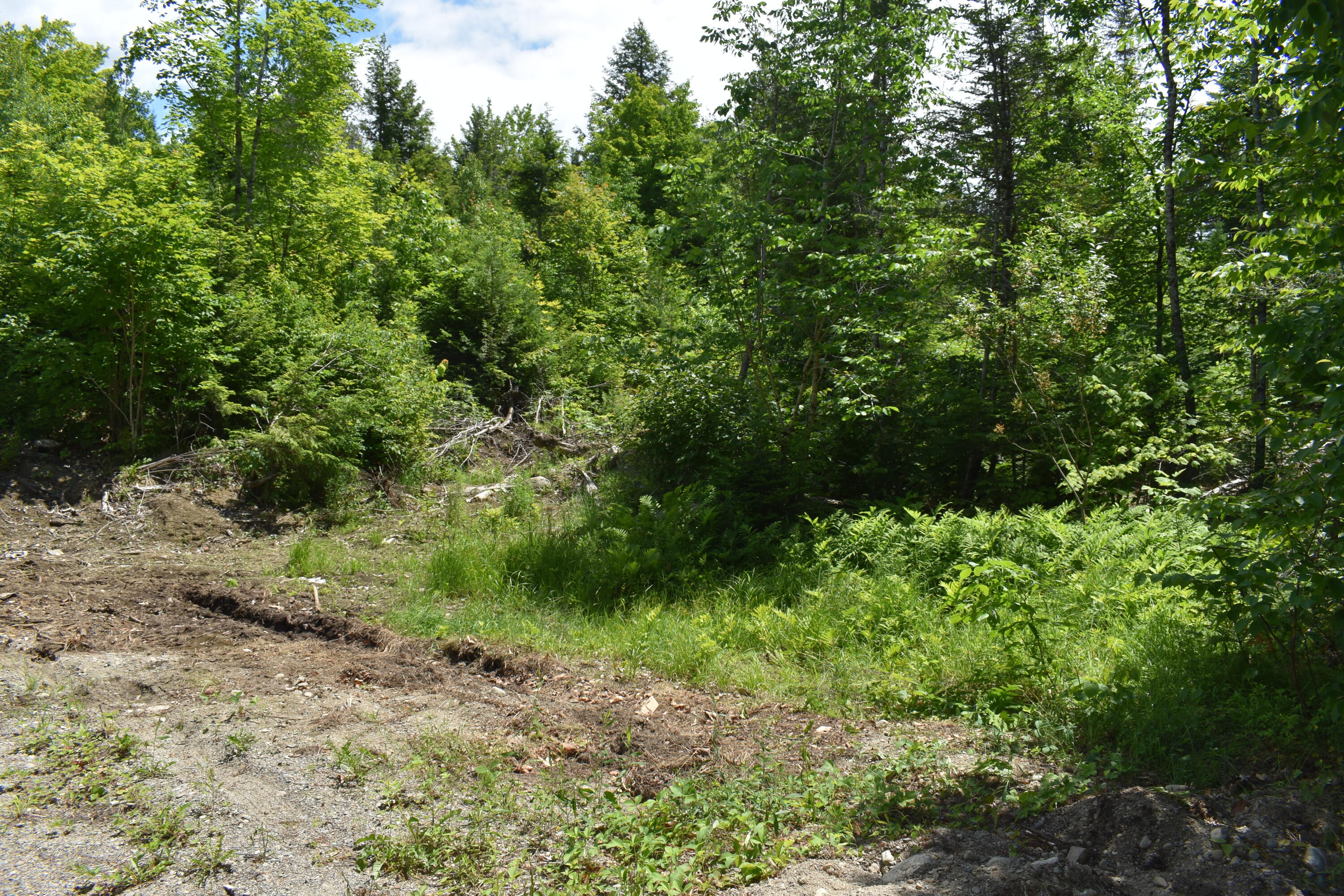 91 Maxwell Road Lee, ME 04455 - Photo 5 of 12 DSC_0518