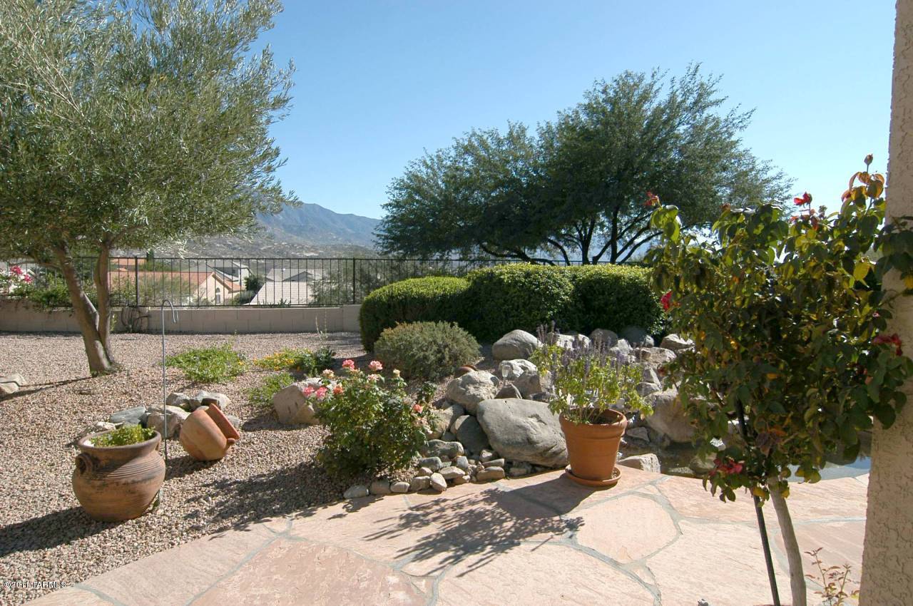 65185 East Diamond Ridge Court Tucson, AZ 85739 - Photo 29 of 30