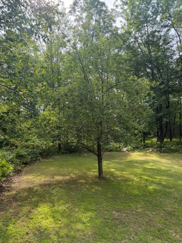 W8895 Co Road Stephenson, MI 49887 - Photo 27 of 31