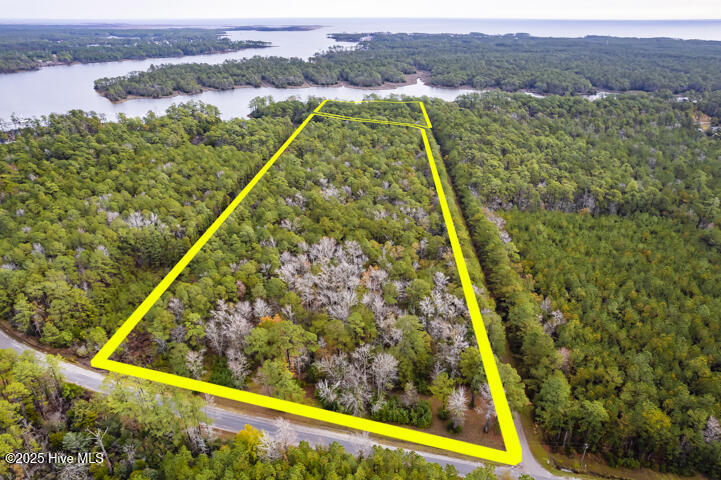 202 Mills Road Oriental, NC 28571 - Photo 11 of 33 Protected Waterfront