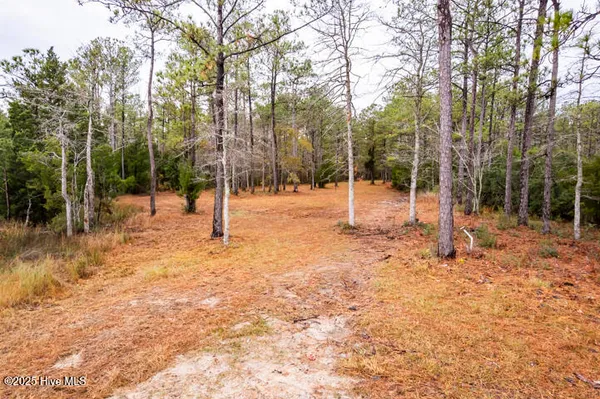 $365,000 | 202 Mills Road, Oriental, NC 28571