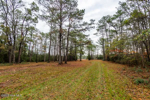 $365,000 | 202 Mills Road, Oriental, NC 28571