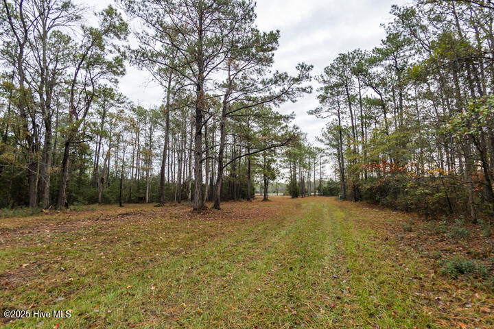 202 Mills Road Oriental, NC 28571 - Photo 20 of 33 Private Driveway