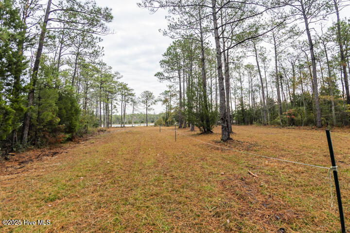 202 Mills Road Oriental, NC 28571 - Photo 21 of 33 Septic Drainfield