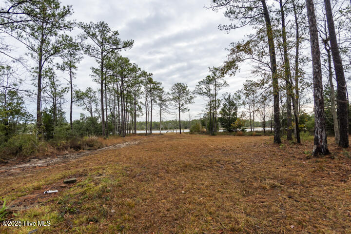 202 Mills Road Oriental, NC 28571 - Photo 22 of 33 Septic Tank