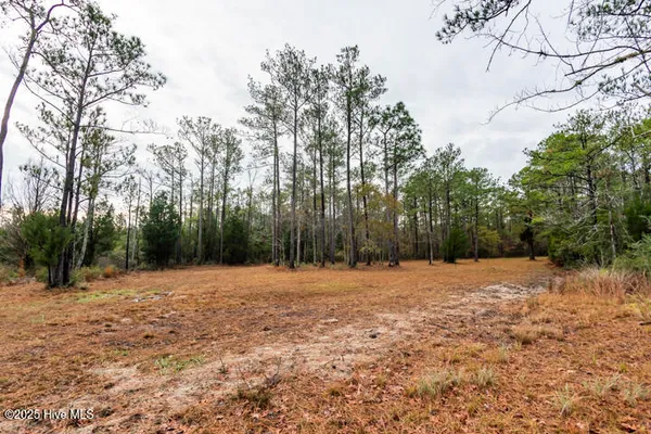 $365,000 | 202 Mills Road, Oriental, NC 28571