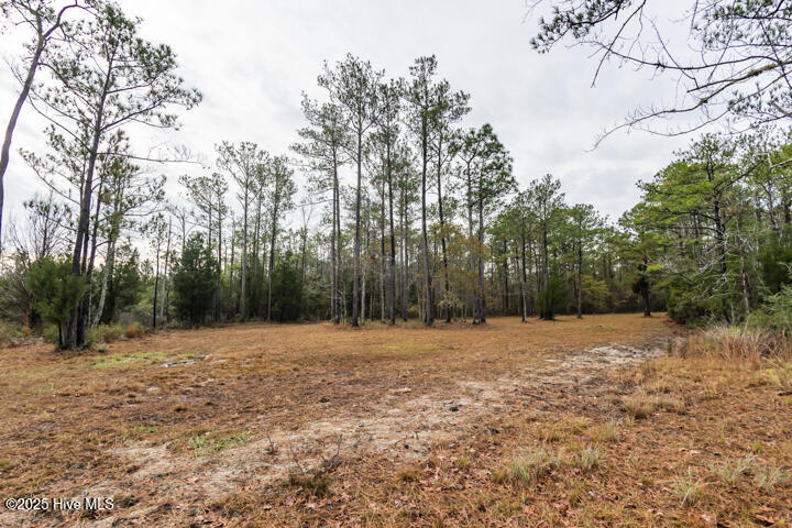 202 Mills Road Oriental, NC 28571 - Photo 30 of 33 Cleared Homesite