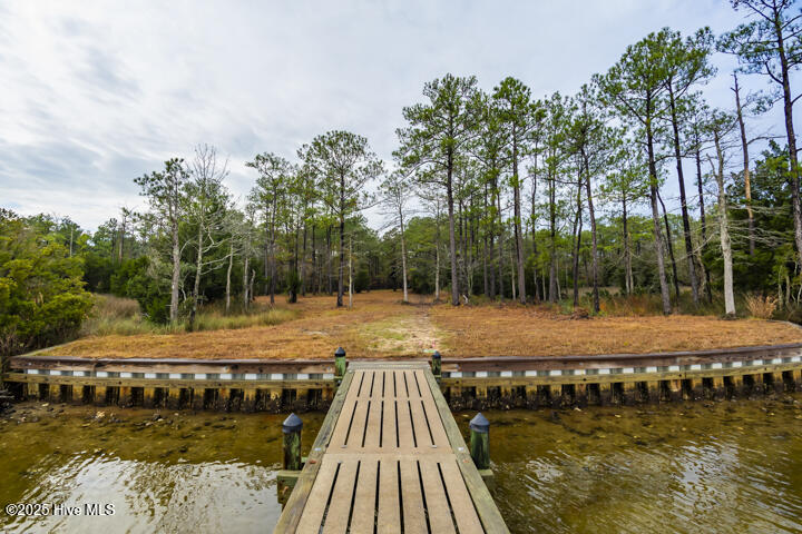 202 Mills Road Oriental, NC 28571 - Photo 3 of 33 Beautiful Homesite