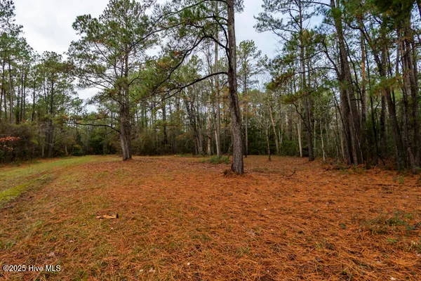 $365,000 | 202 Mills Road, Oriental, NC 28571