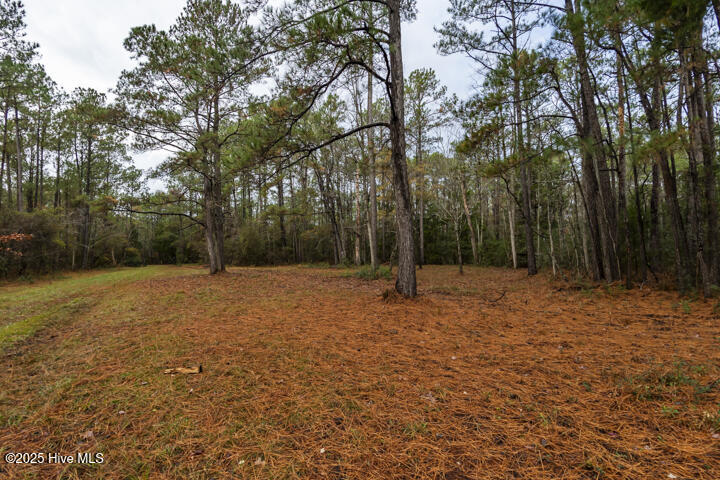 202 Mills Road Oriental, NC 28571 - Photo 32 of 33 Perfect Privacy
