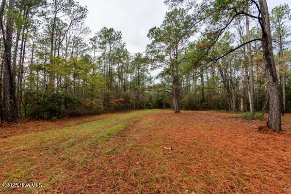 $365,000 | 202 Mills Road, Oriental, NC 28571