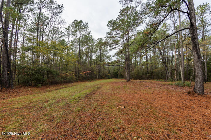 202 Mills Road Oriental, NC 28571 - Photo 33 of 33 Private Driveway