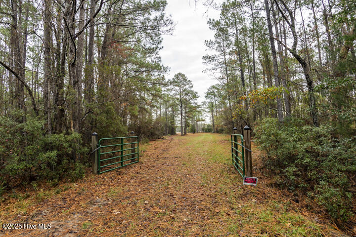 202 Mills Road Oriental, NC 28571 - Photo 5 of 33 Private Gate at Entrence to Homesite