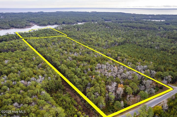 202 Mills Road Oriental, NC 28571 - Photo 10 of 33 Nicely Wooded