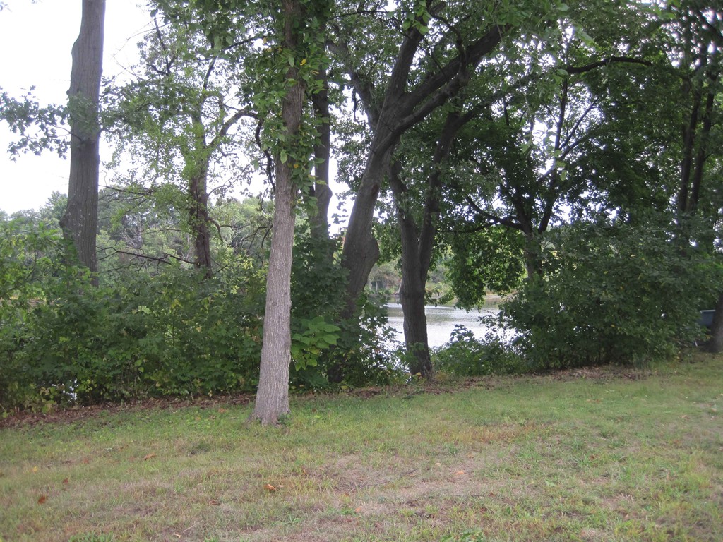 265-267 Water Street Springfield, MA 01151 - Photo 20 of 23 a view of a forest