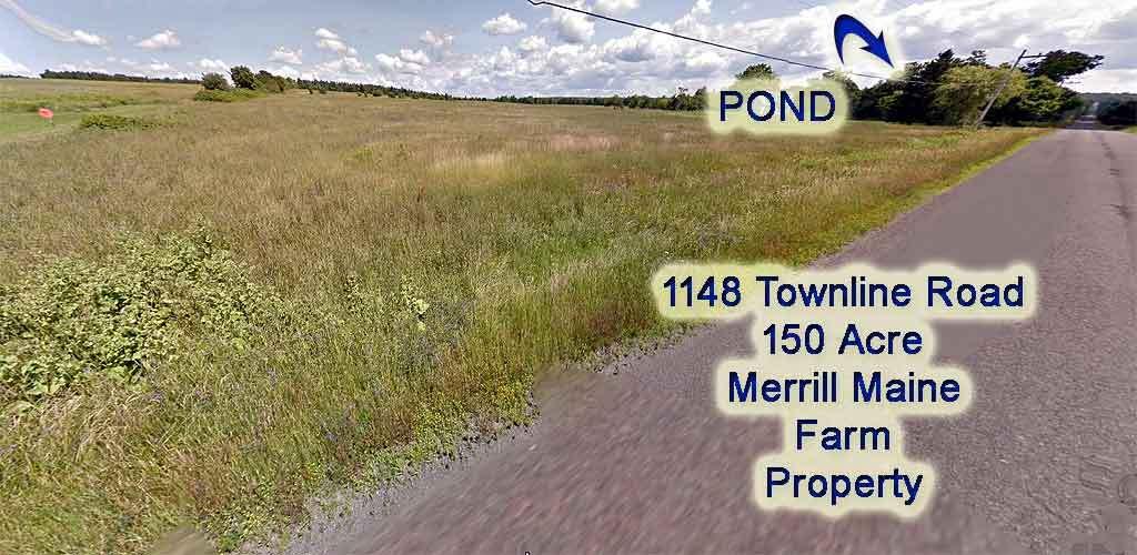 1148 Town Line Road Merrill, ME 04780 - Photo 98 of 100 farm-field-pasture-1148-tow