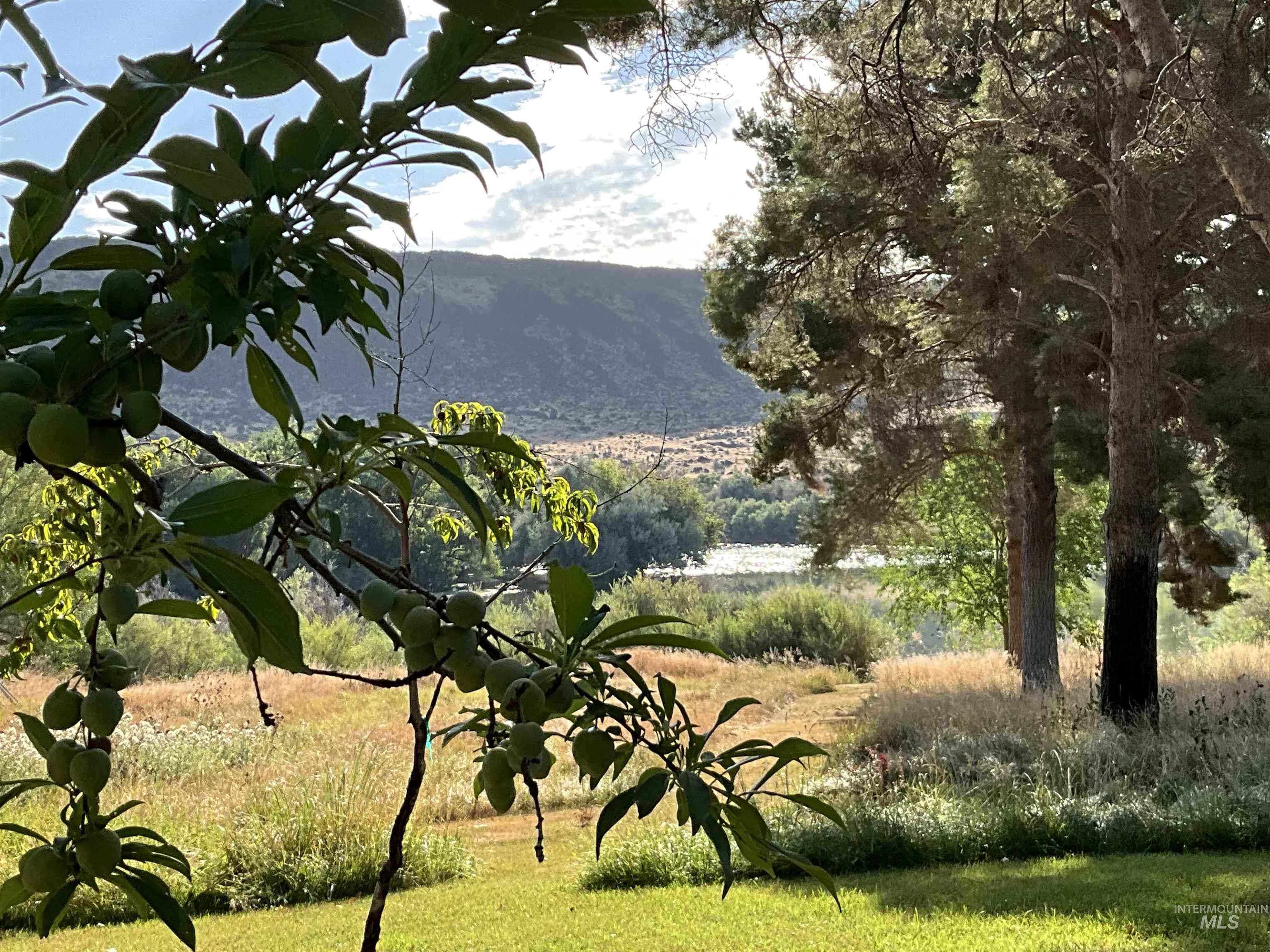 4778 River Road Buhl, ID 83316 - Photo 23 of 36