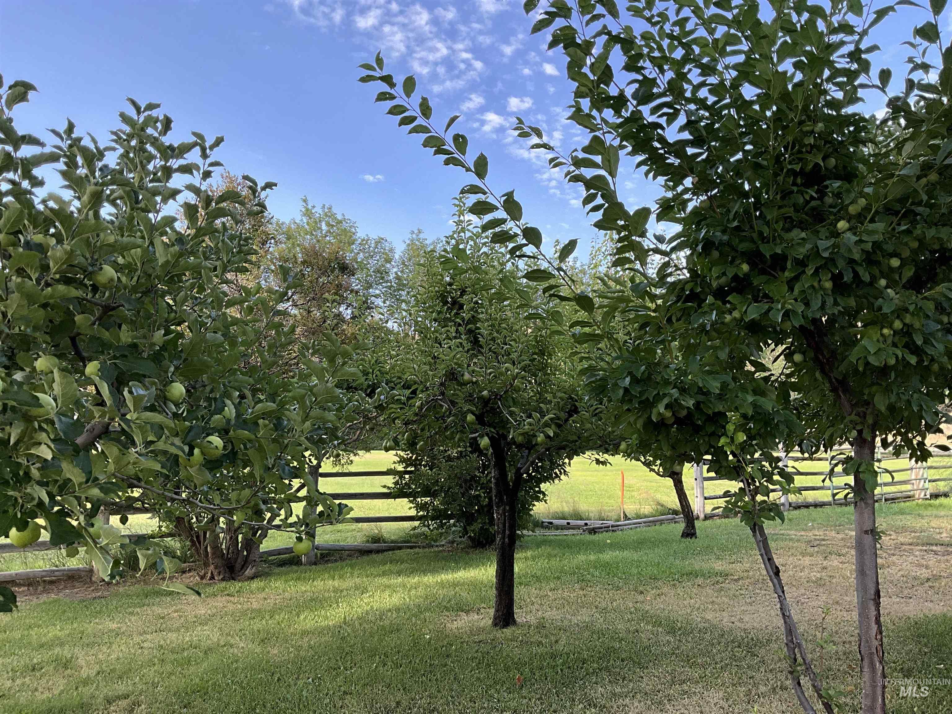 4778 River Road Buhl, ID 83316 - Photo 28 of 36