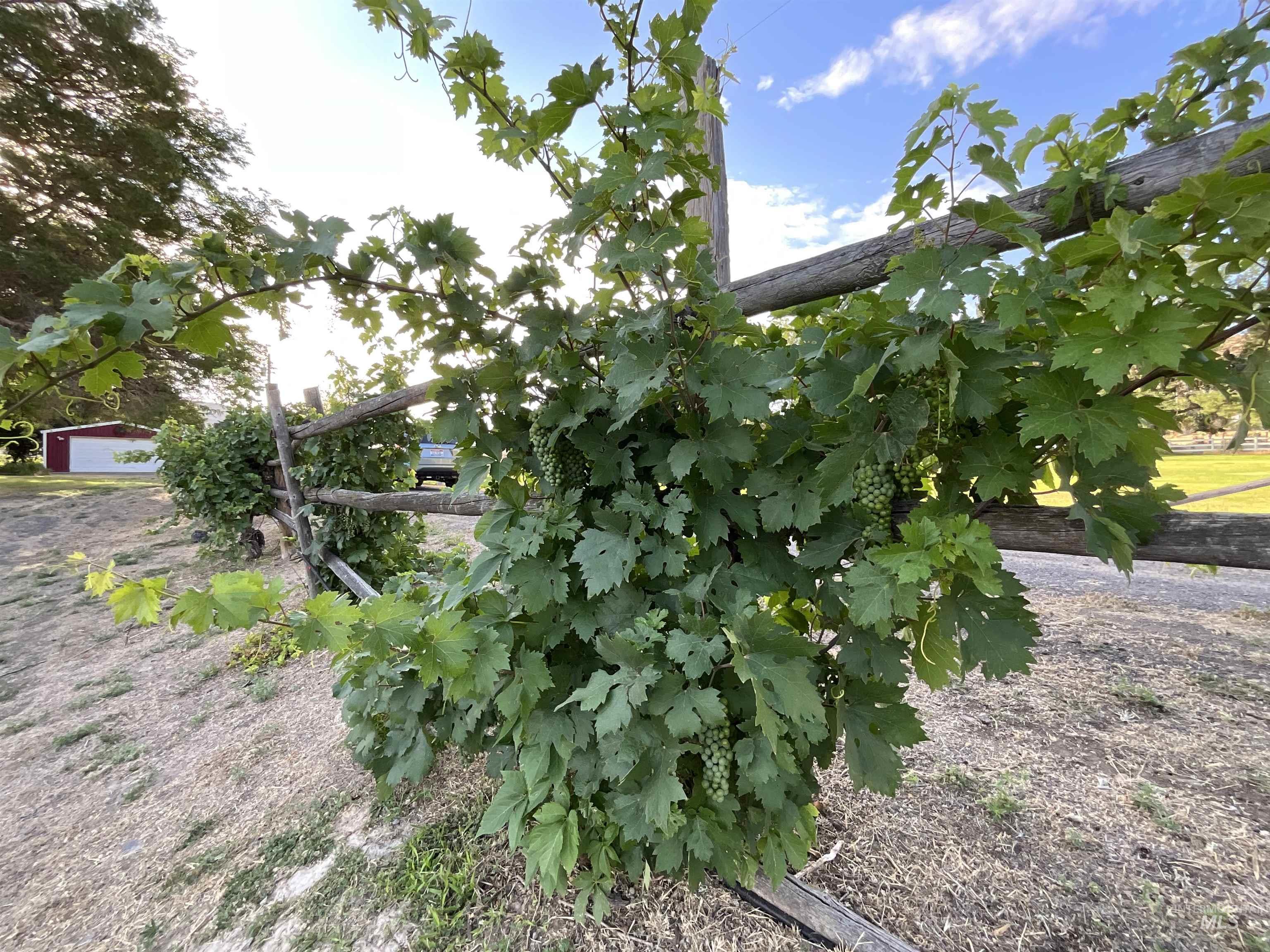 4778 River Road Buhl, ID 83316 - Photo 34 of 36