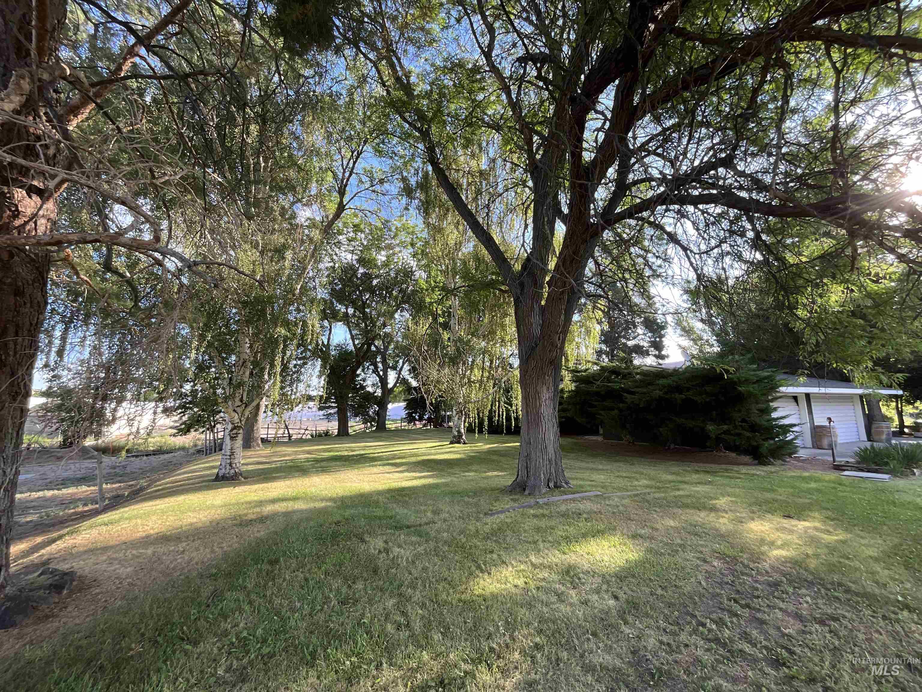 4778 River Road Buhl, ID 83316 - Photo 4 of 36