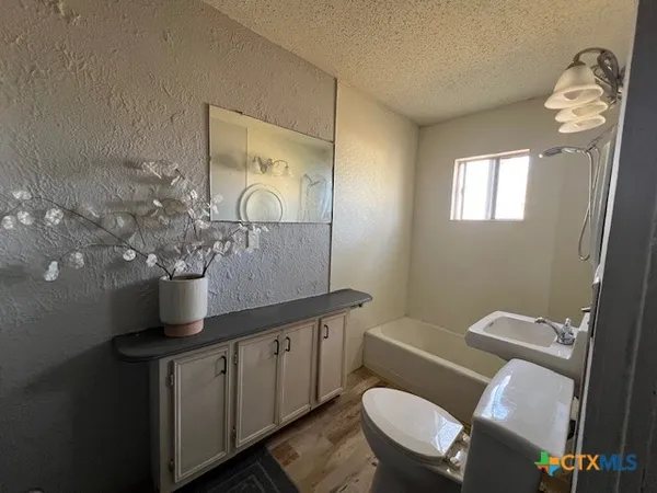 a bathroom with a toilet a sink and mirror