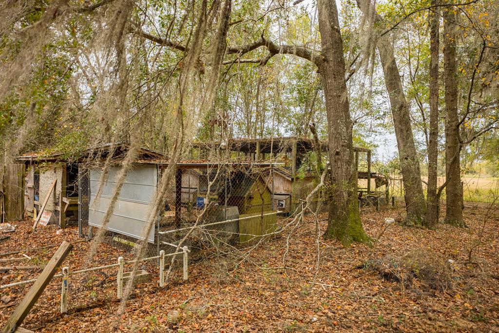 7361 Good Hope Road Naylor, GA 31641 - Photo 64 of 69 Gallery Image 64