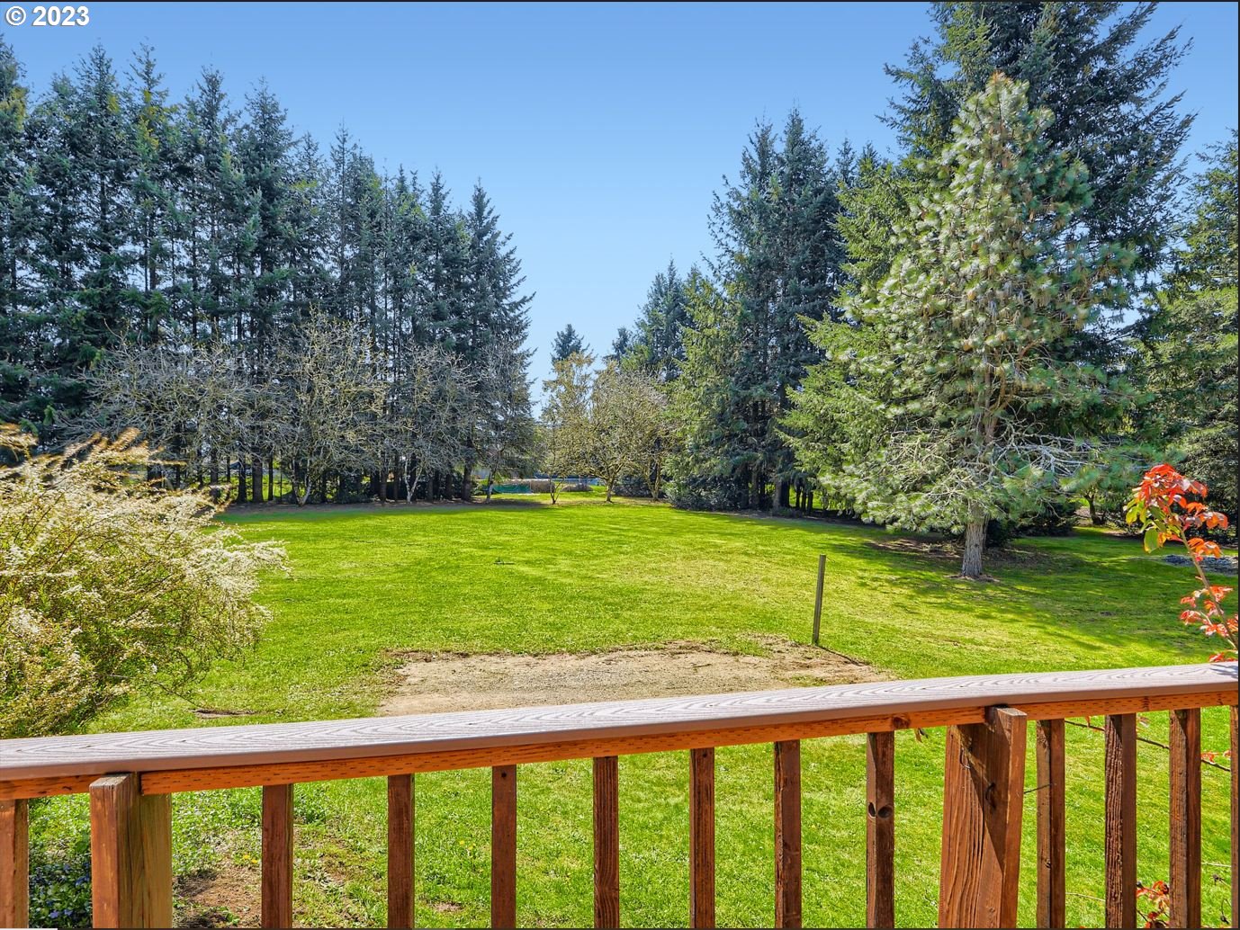 18331 Northwest Reeder Road Portland, OR 97231 - Photo 3 of 46 a view of green field with trees