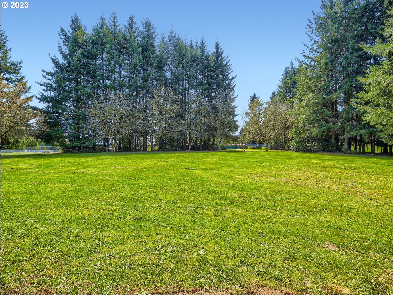18331 Northwest Reeder Road Portland, OR 97231 - Photo 5 of 46 a view of a big yard with trees in the background