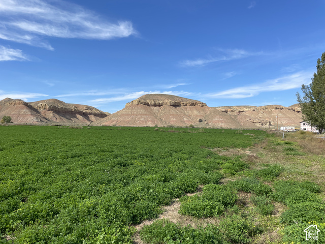 70 Horseshoe Bend Road Vernal, UT 84078 - Photo 38 of 54 Hay field