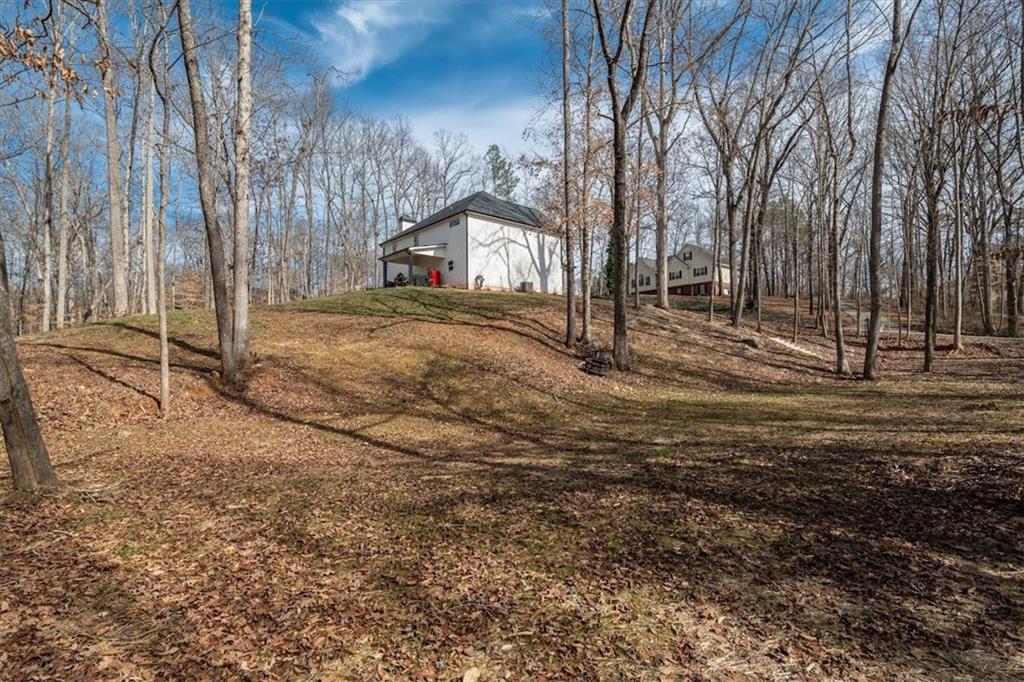 14 Cambridge Lane Bremen, GA 30110 - Photo 44 of 51 a house view with a backyard