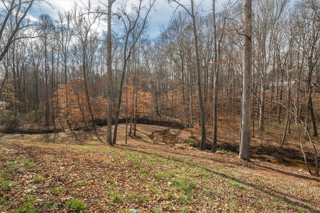 14 Cambridge Lane Bremen, GA 30110 - Photo 45 of 51 a view of a backyard with a trees
