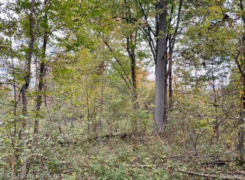 0 Oliver Road Fostoria, MI 48435 - Photo 17 of 27 Gallery Image 17