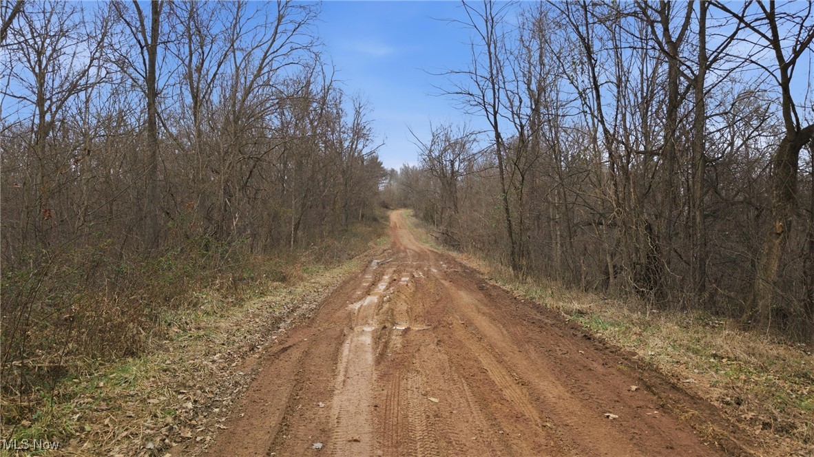 Putnam Drive Reedsville, OH 45772 - Photo 10 of 11