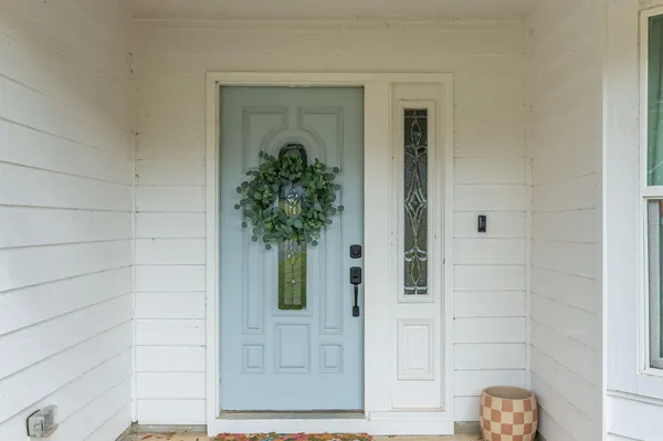 a potted plant in front of a door