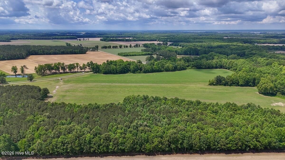 431 Icaria Road Tyner, NC 27980 - Photo 10 of 55 11