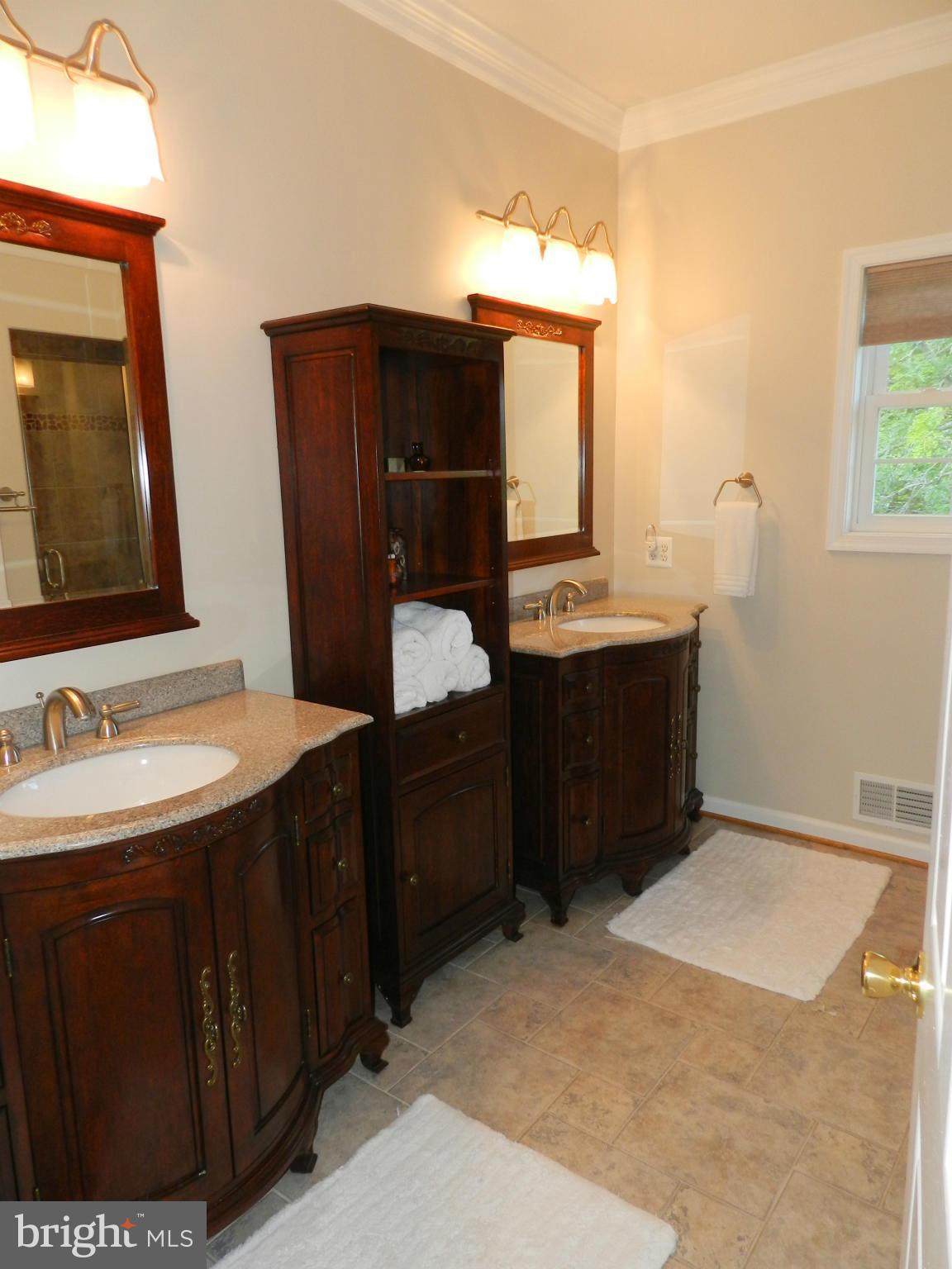 17201 Spates Hill Road Poolesville, MD 20837 - Photo 20 of 30 Bath (Master)