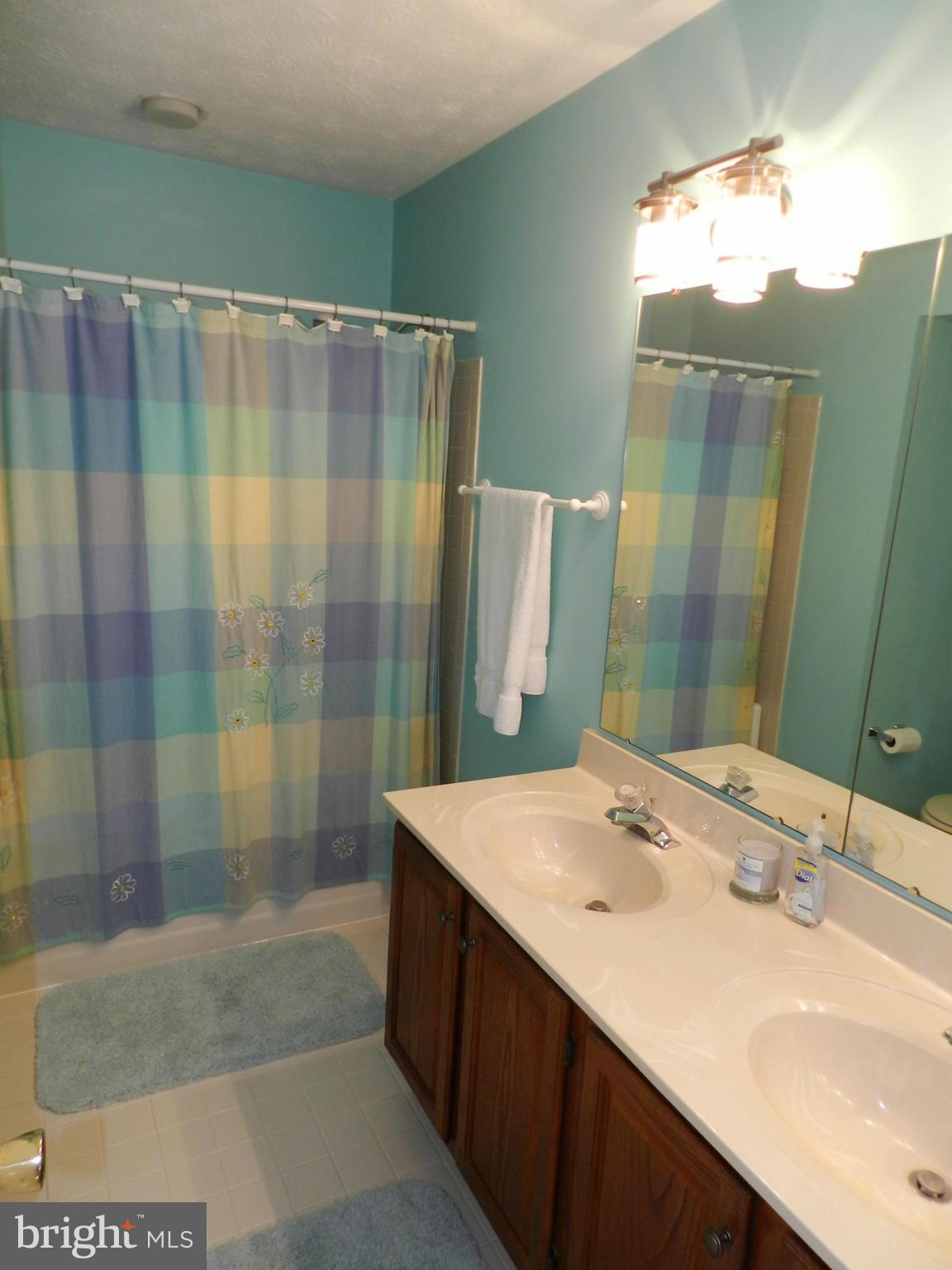 17201 Spates Hill Road Poolesville, MD 20837 - Photo 27 of 30 Bath