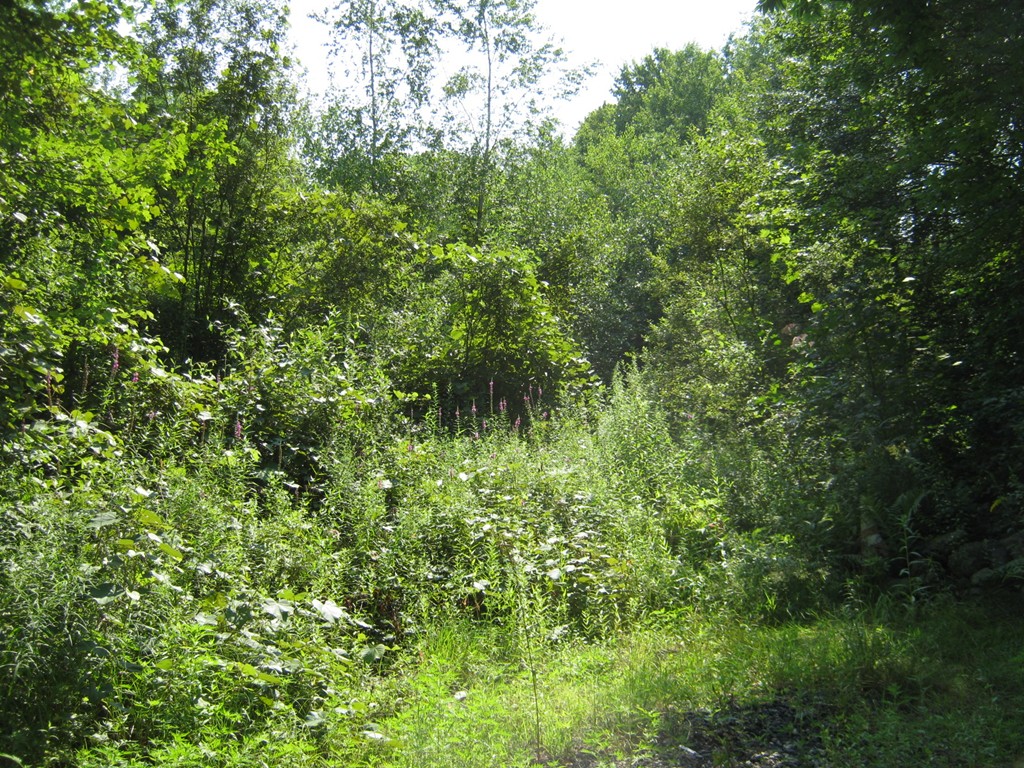 0 East Lantern Road Lincoln, RI 02865 - Photo 1 of 5 Gallery Image 1