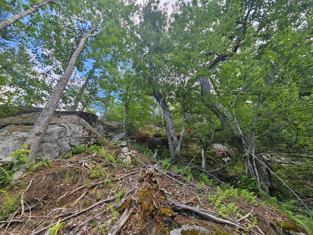 Multiple Quaker Ridge Road Leeds, ME 04263 - Photo 21 of 79 20260624_131314