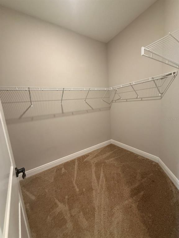 19071 Blueleaf Street Orlando, FL 32827 - Photo 7 of 27