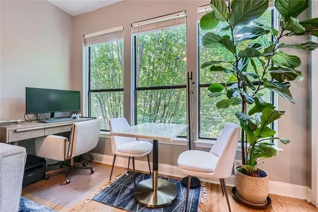 a living room with furniture and a potted plant