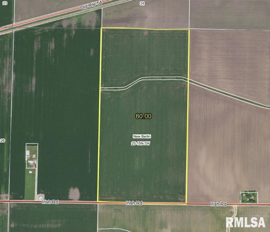 Irish Road Loami, IL 62661 - Photo 1 of 8
